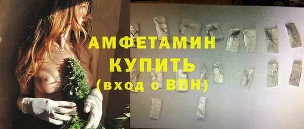 сатива Армянск