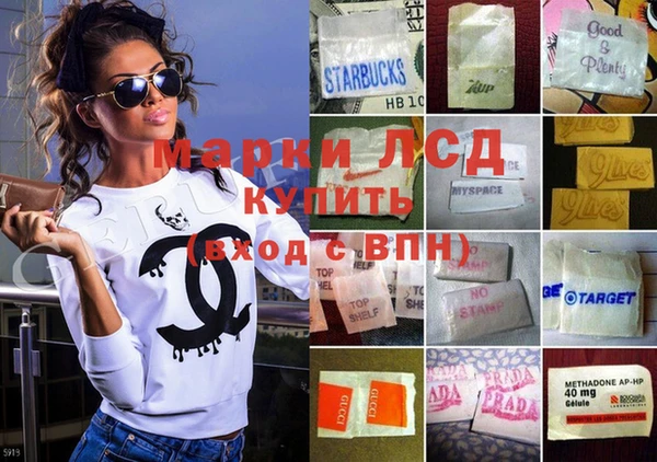 спайс Аркадак