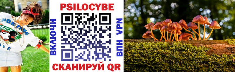 цена   Дно  Галлюциногенные грибы мухоморы 